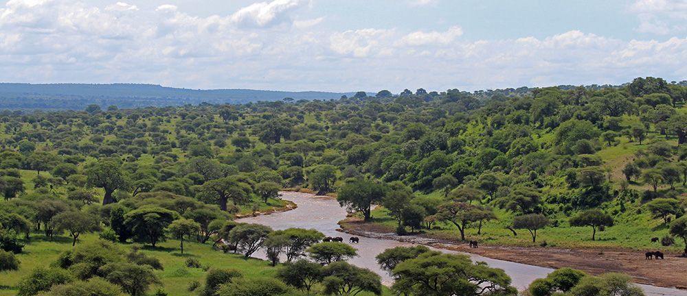 Uitzicht op de Tarangire-rivier