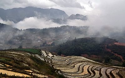 Trekking door de rijstvelden van Sapa