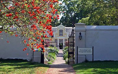 De wijnstreek rond Stellenbosch