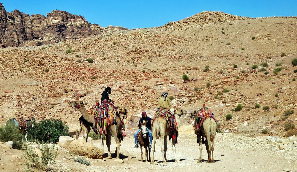silver-travellers-preparation-early-bird-discount-jordan-mobiel