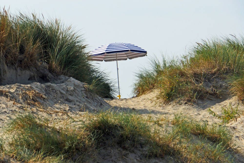 Strandduinen in België