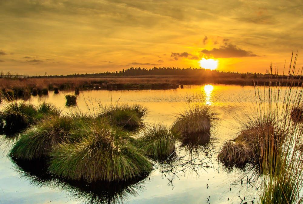 Zonsondergang bij een ven in België