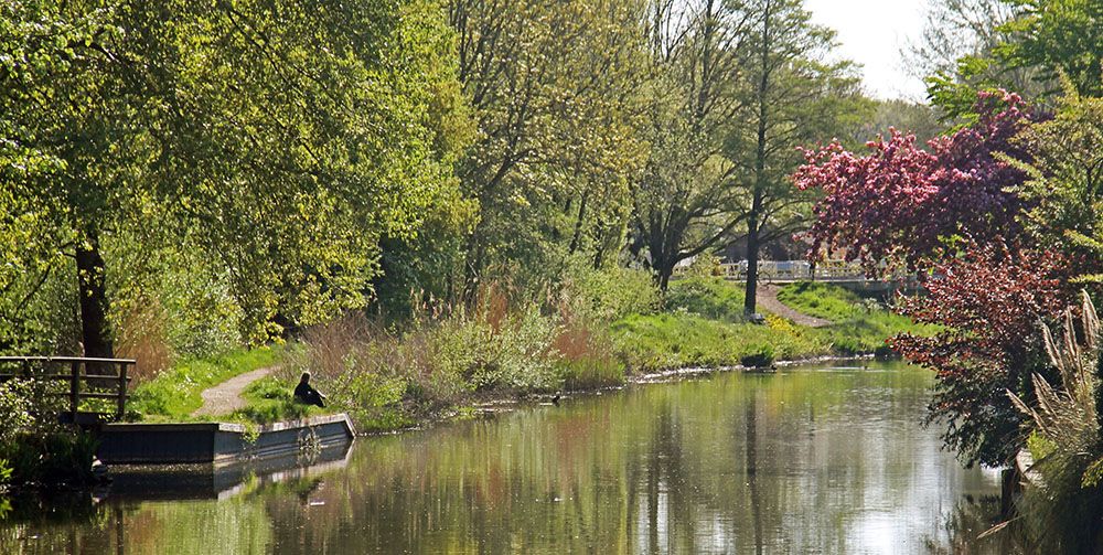 Kromme Rijn bij Bunnik