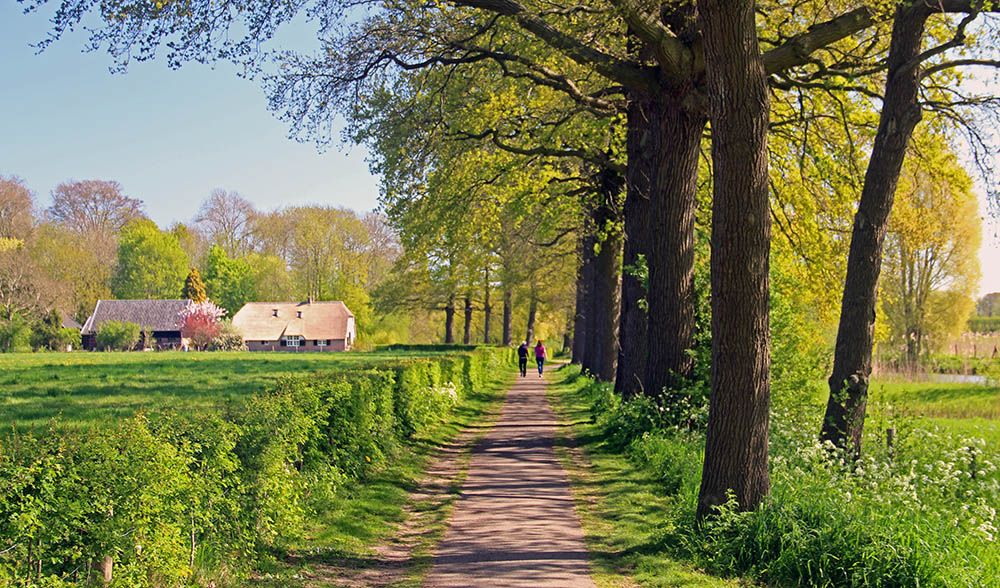 10 goede redenen om meer te wandelen