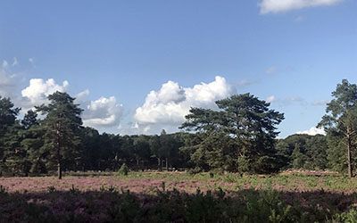 Wandeling naar de Kozakkenput bij Zeist