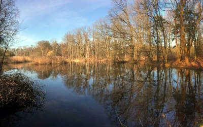 Wandelen bij Oosterbeek: natuur en oorlogshistorie