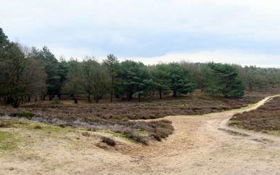 Prachtige wandeling rondom Huizen: de zes bergenroute