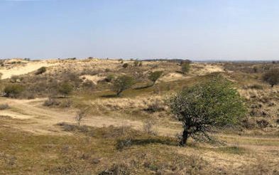 Waterleidingduinen bij De Zilk