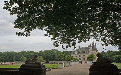 Kastelen- en wijnroute langs de Loire