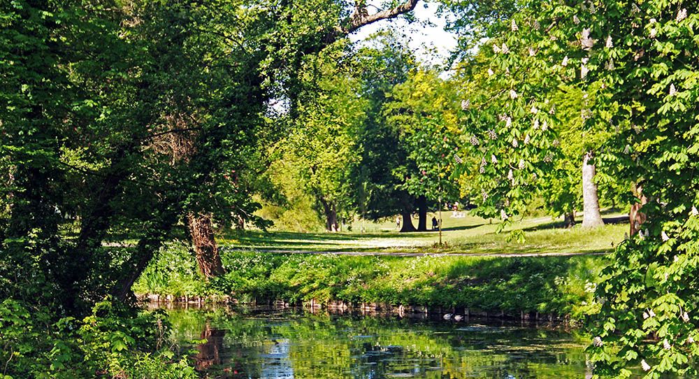 Rijsterborgherpark in Deventer