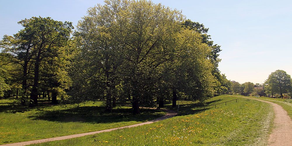 Wandelen bij de Worp, Deventer