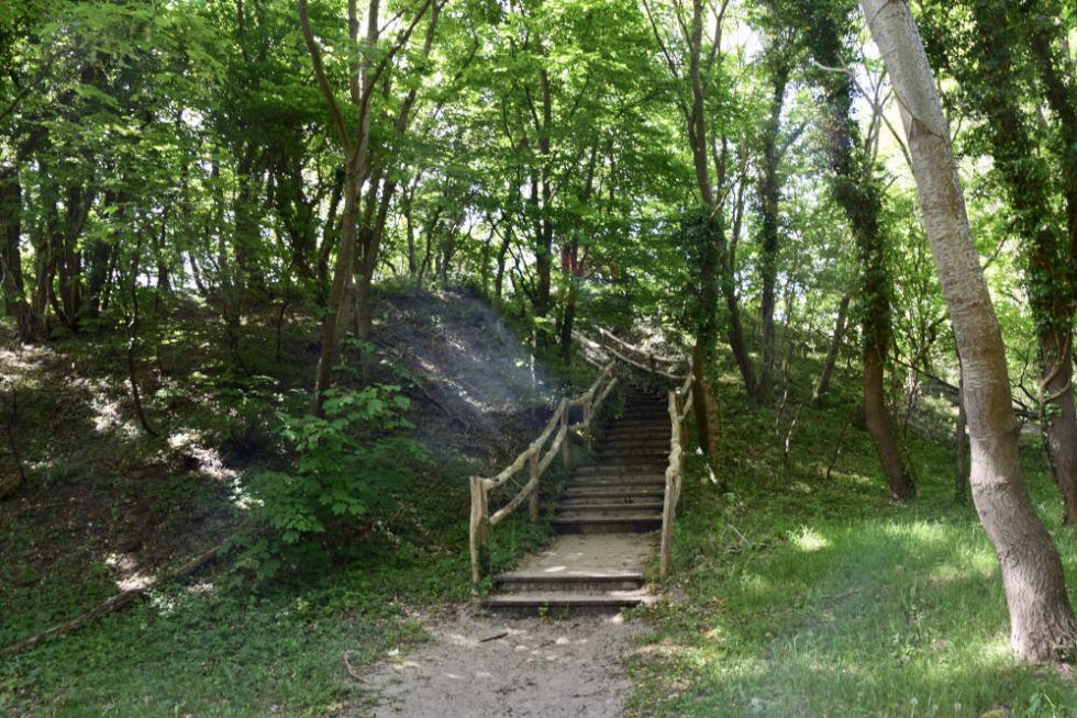 Wandeling bij Egmond aan den Hoef absolute aanrader! Grijsopreis.nl