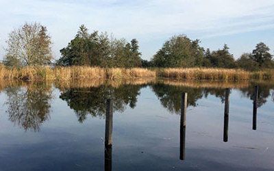 De Spiegelplas en Ankeveense Plassen