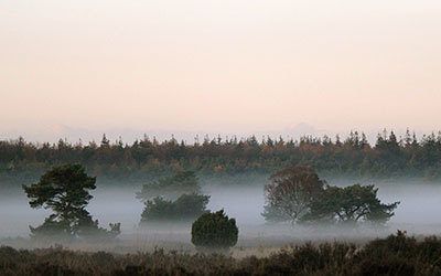 Nationaal Park de Hoge Veluwe