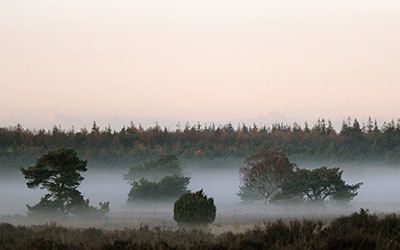 Nationaal Park de Hoge Veluwe