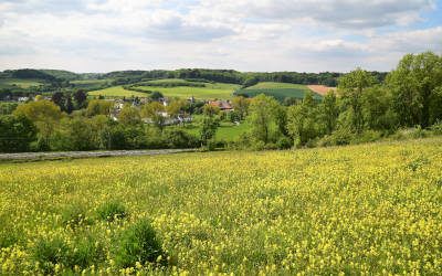 Wandeling bij Klimmen: kastelen, Geul en Gerendal