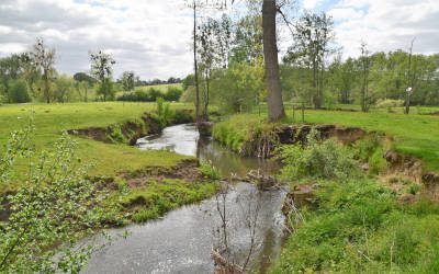 Wandeling bij Mechelen: een vijfsterren landschap