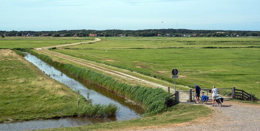 fietsen door Friesland