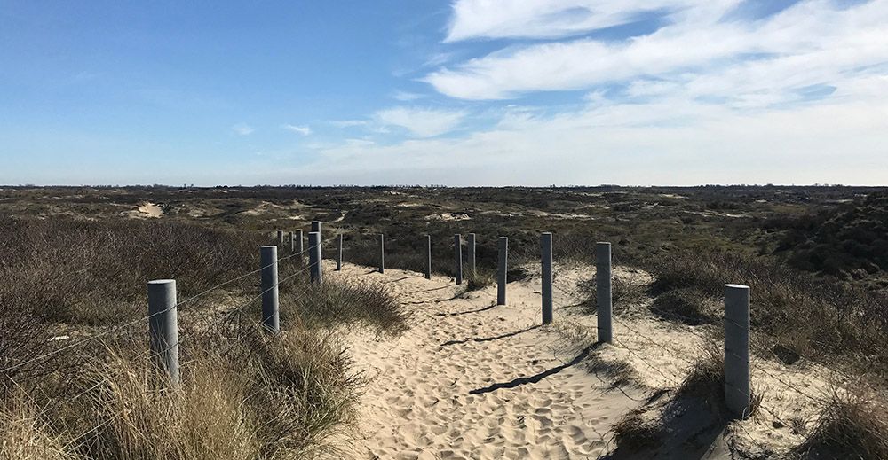 Waterleidingduinen