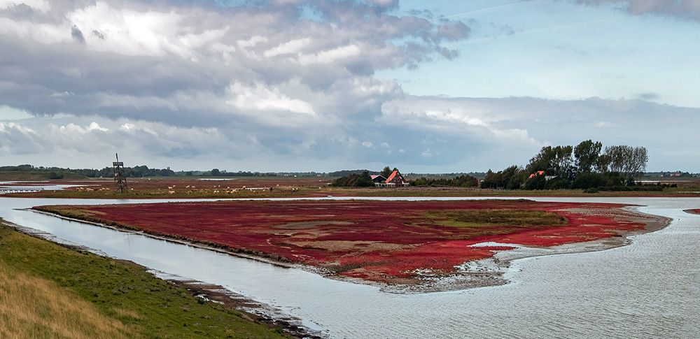 Schelphoek in Zeeland