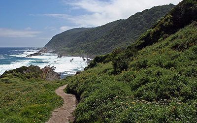 Wandelen in het Tsitsikamma National Park