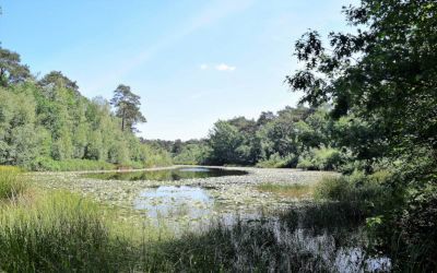 De Kampina en de prachtige Oisterwijkse vennen