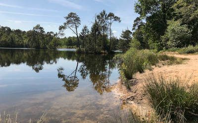 Noord-Brabant: mooie steden en prachtige natuur