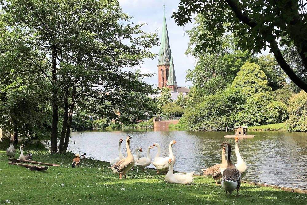 Park met vijver in Oldenburg