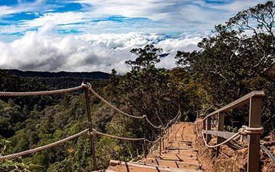 Beklimming van de Mount Kinabalu