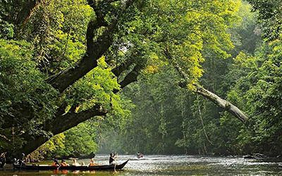 Wandelen in het Taman Negara Nationaal Park