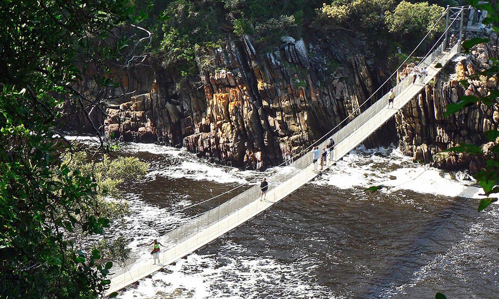 Hangbrug in het Tsitsikamma National Park, Zuid-Afrika