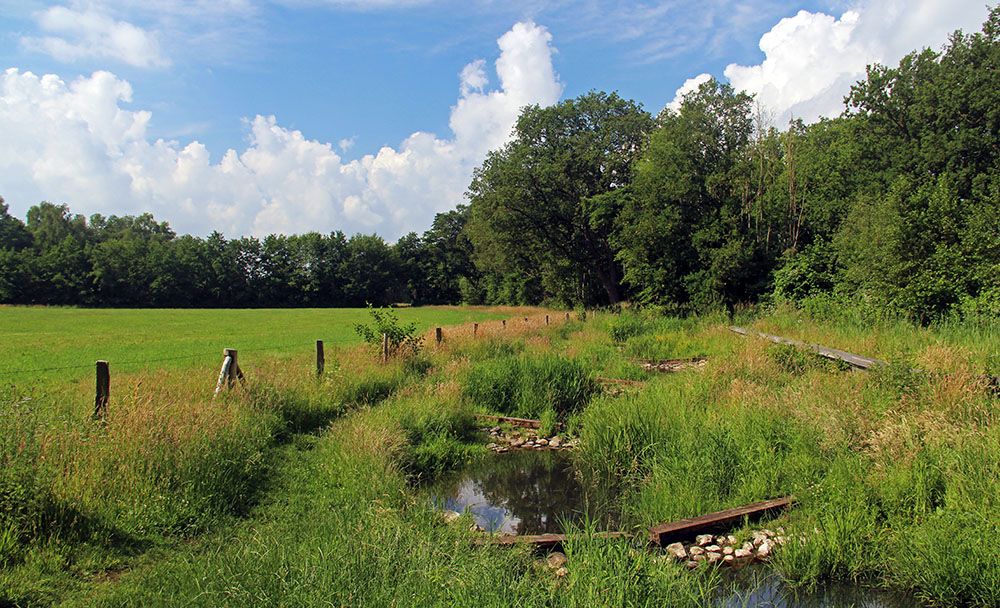 Beekje tijdens de Oldenaller wandeling