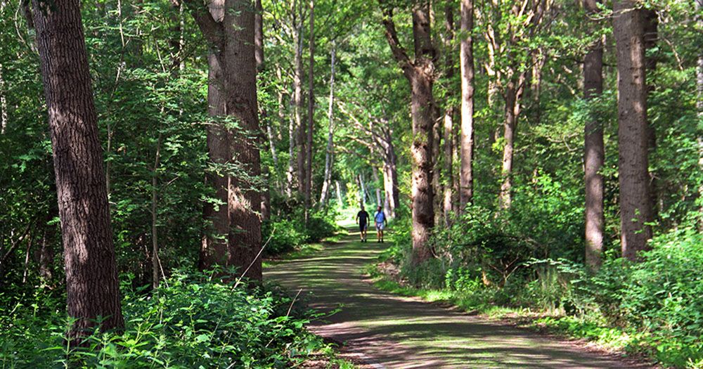 Begin van de klompenpadwandeling bij Oldenaller