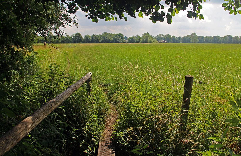 Afwisseling van bossen en weilanden met overal bruggetjes