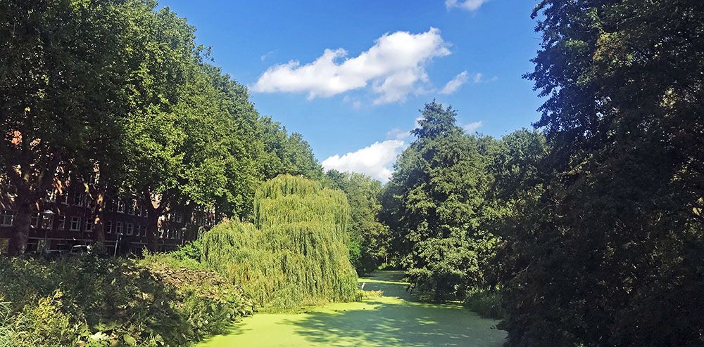 Erasmuspark in Bos en Lommer, Amsterdam