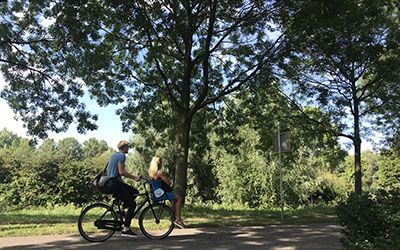 Verrassend groene trage tocht bij Amsterdam Sloterdijk