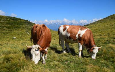 Wandeling langs de Kalkkögel, de Dolomieten van Tirol