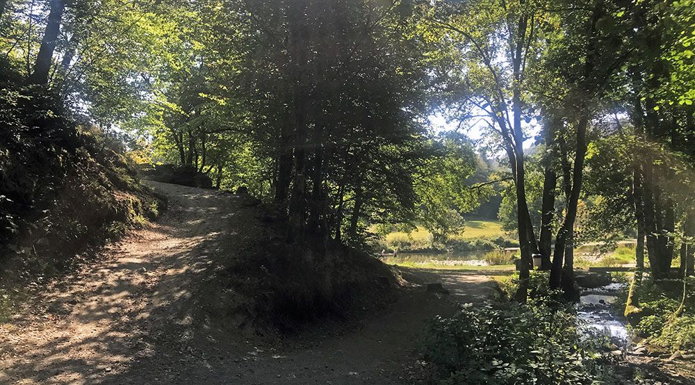 Bij de Semois in de Belgische Ardennen