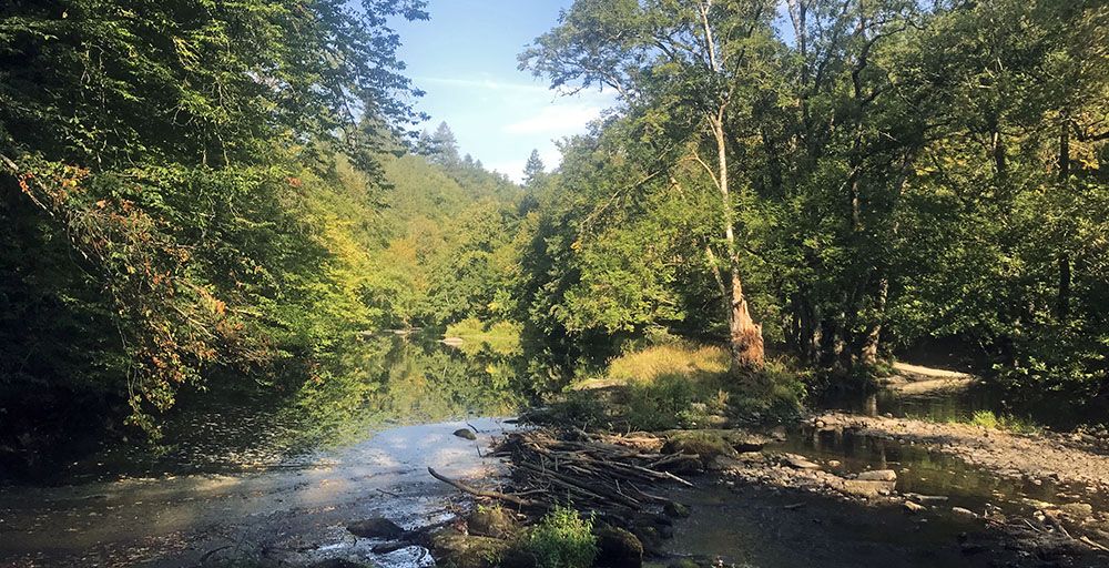 Beverdam in de Ourthe in de Belgische Ardennen