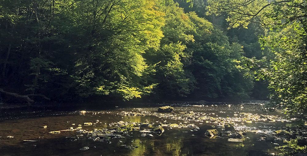 de Ourthe in de Belgische Ardennen