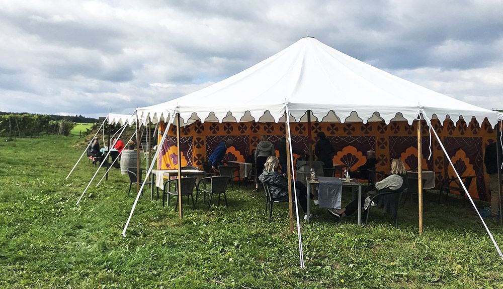 Tent bij wijngaard van Ditshuizen