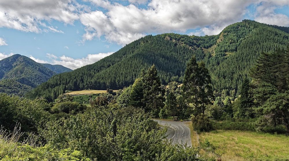 Mount Richmond, Nieuw-Zeeland