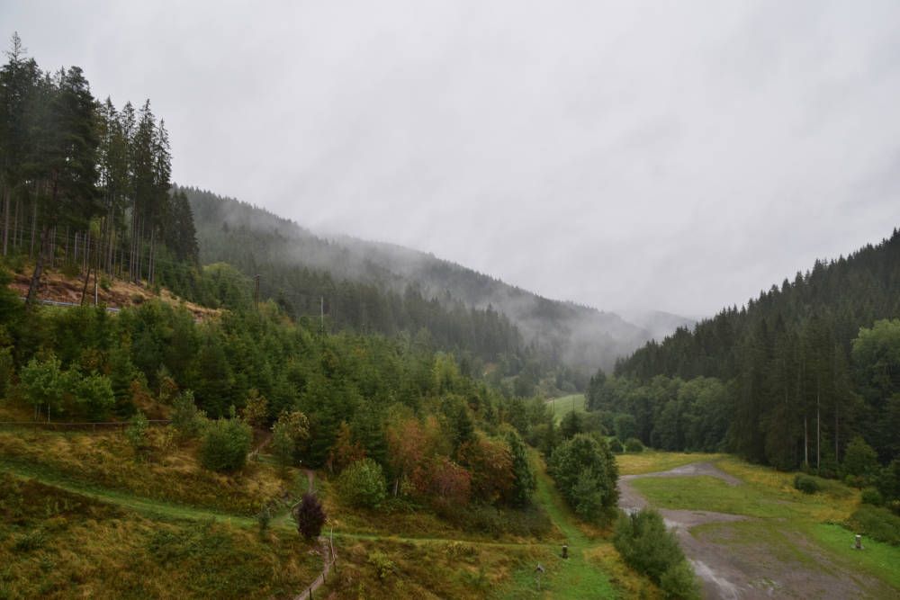 Mist in het Zwarte Woud