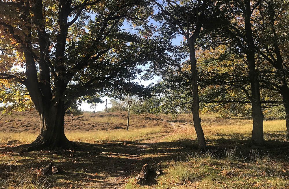 Den Treek bij Leusden, Woudenberg en Zeist