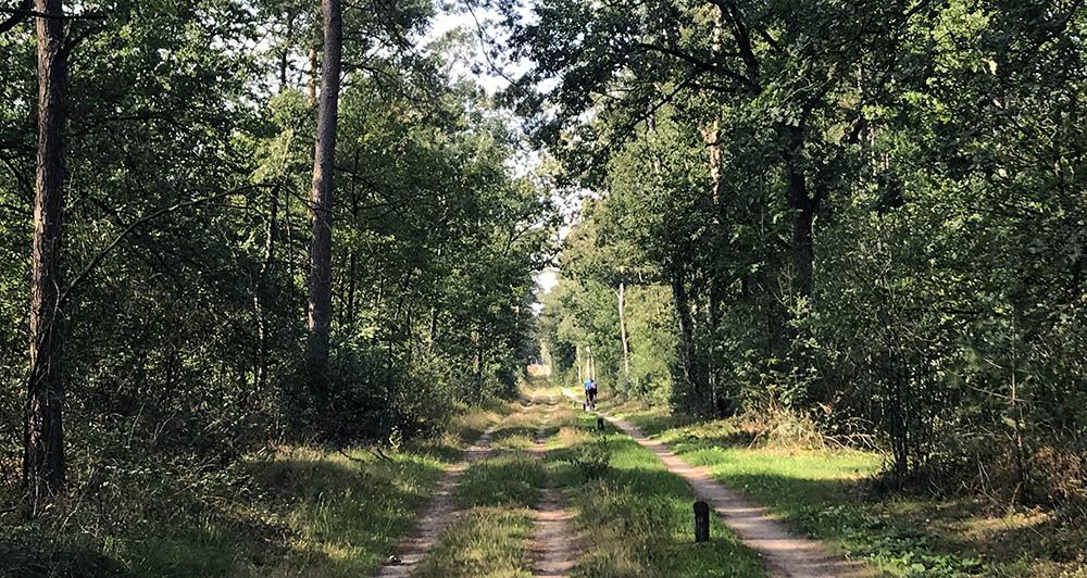 Fietsers in landgoed Den Treek