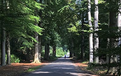 Fietsroute rond Woudenberg op de Utrechtse Heuvelrug