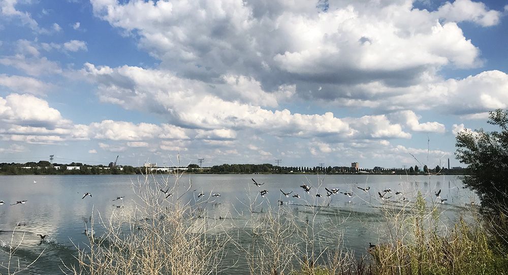 Haarrijnseplas