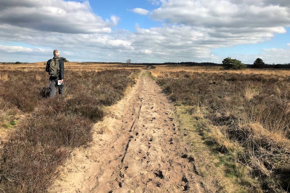 Wandelaar over de Elspeetse heide