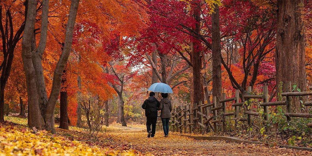Echtpaar in de herfst aan het wandelen