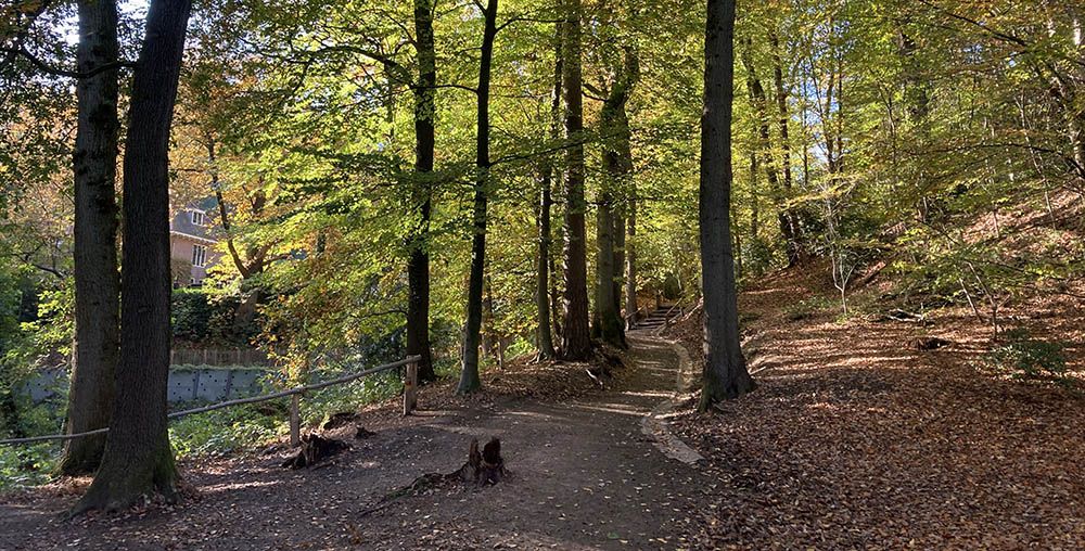 Begin van de wandeling in het Rijk van Nijmegen